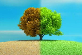 MID Digital Solutions Sustainability Journey