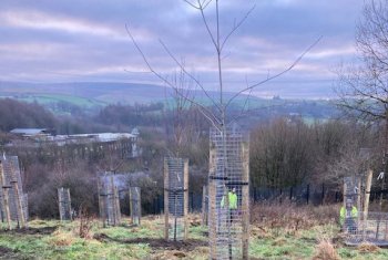 Rooting for success as 500 new trees are planted across Rochdale