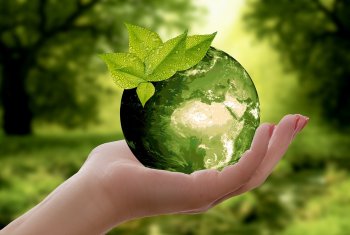 Bedding business leads decarbonisation efforts at Stakehill Industrial Estate
