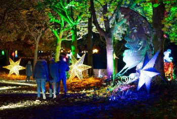 Night walk: Visitors enjoy wild adventure
