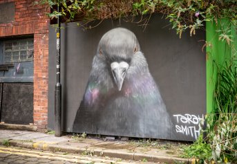 Common walls: Mural festival draws crowds and praise as Rochdale becomes giant art gallery