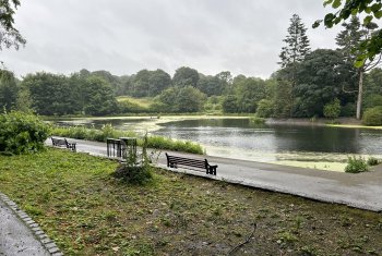 NetWalk - Queen’s Park, Heywood