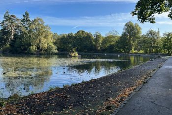NetWalk - Queen’s Park, Heywood