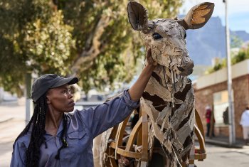 THE HERDS to Arrive in Heywood: A Bold Fusion of Art, Community and Climate Awareness