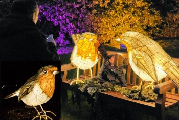 Walk on the wild side: Night time nature trail set for Hollingworth Lake