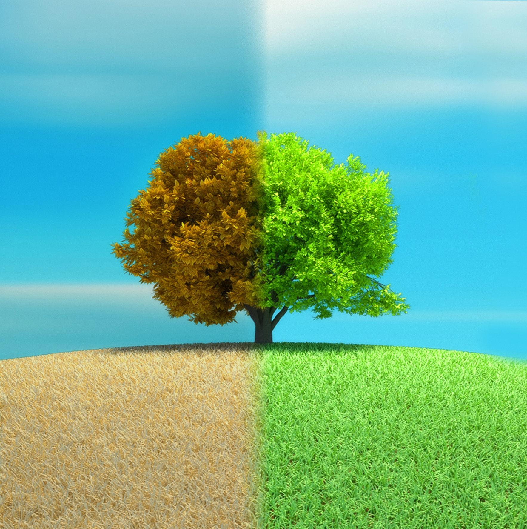 Image: MID Digital Solutions Sustainability Journey