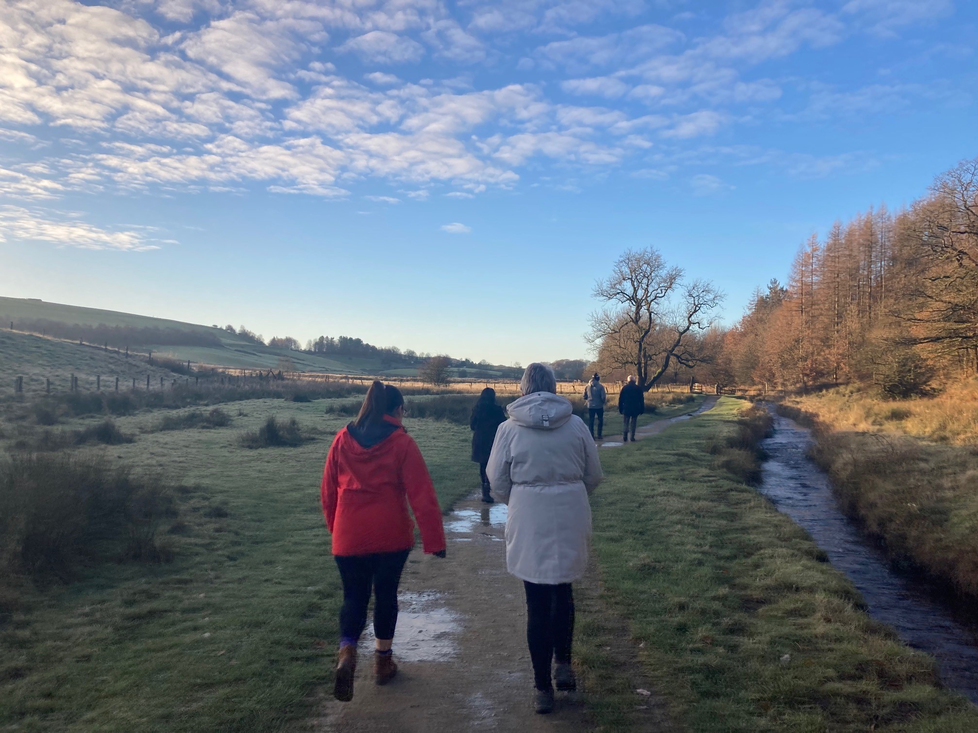 Image: NetWalk - Ealees, Littleborough