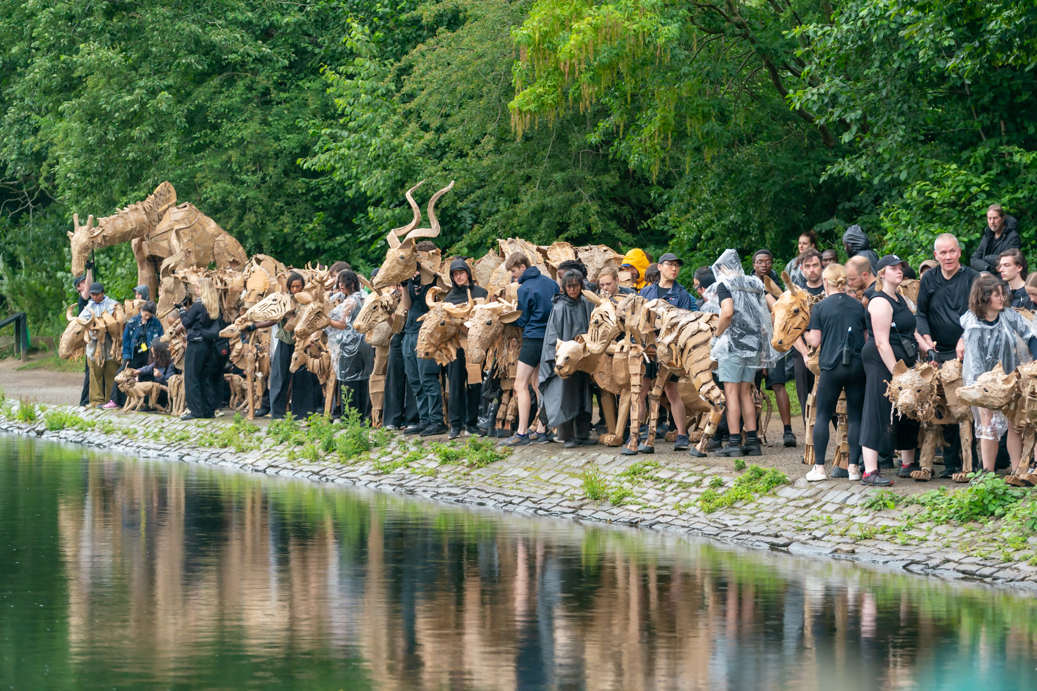 Image: Spectacle and Sustainability: Thousands Gather in Heywood to Welcome THE HERDS