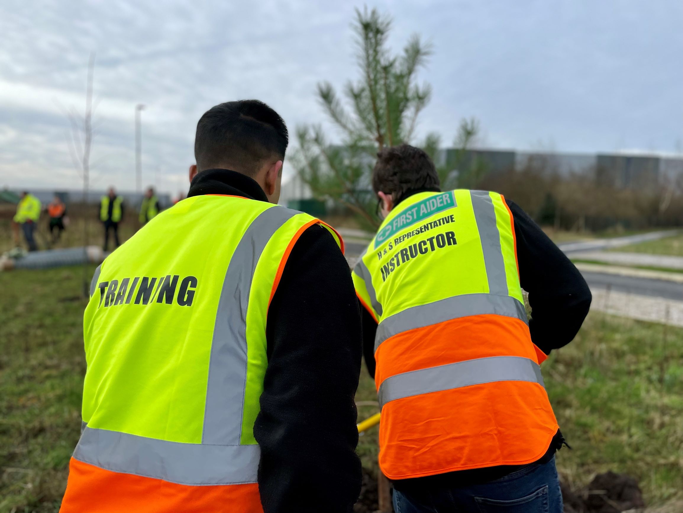 Image: Kingsway tree planting project cultivates a green future