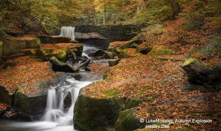 Healey Dell, Rochdale